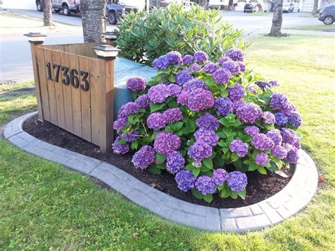 shrubs to cover electrical boxes|outdoor electrical box covers landscaping.